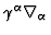 $\gamma^{\alpha}
\nabla_{\alpha}$