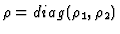 $\rho = diag (\rho_1, \rho_2)$