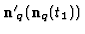 ${{\bf n}'}_q ({\bf n}_q (t_1))$