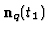 ${\bf n}_{q} (t_{1})$