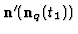 ${\bf n}^{\prime} ({\bf n}_{q} (t_{1}))$