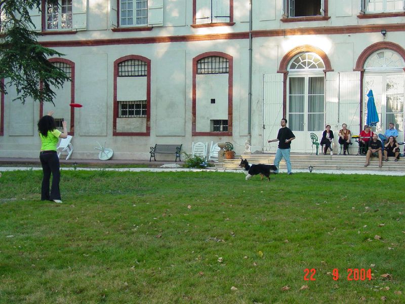 Thankfully, Sebastian can guard the rest of the flock on the terrace while he chases his toys.
