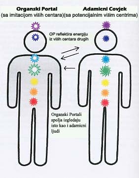 Organic Portals